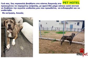 Ράτσα: Άλλη Ράτσα | Ηλικία: 4 ετών | Φύλο: Αρσενικό | Αρ. Microchip: 981021212121212 | Περιοχή: Αττική